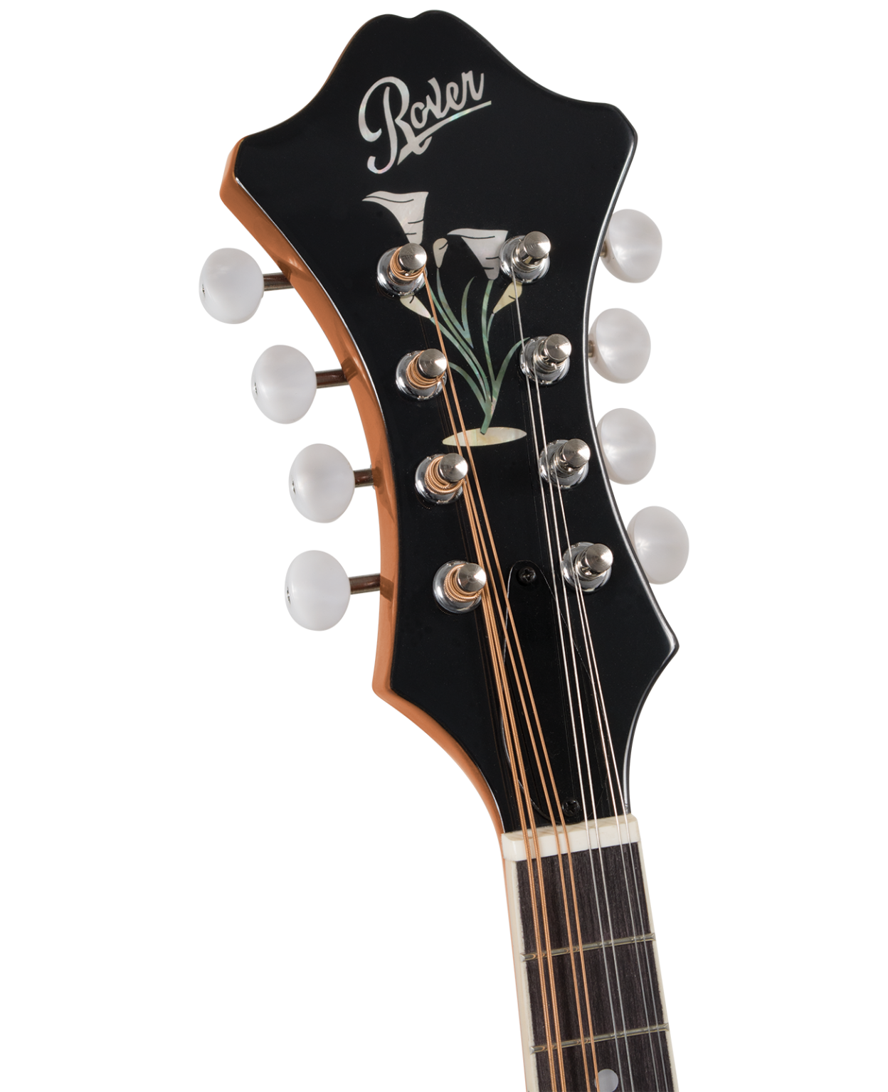 Mandolin – Snake River Strings Co.- Marketplace