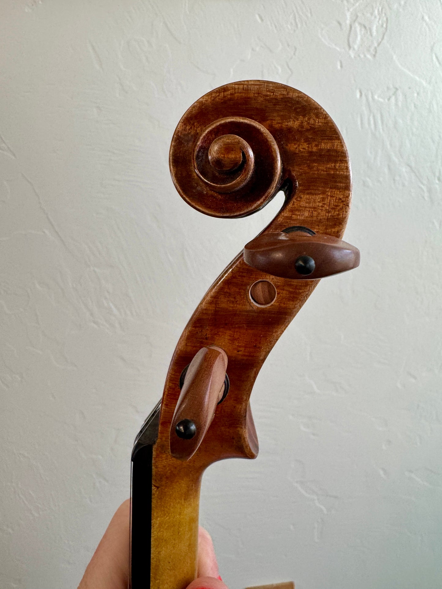 Signature Violin- 4/4
