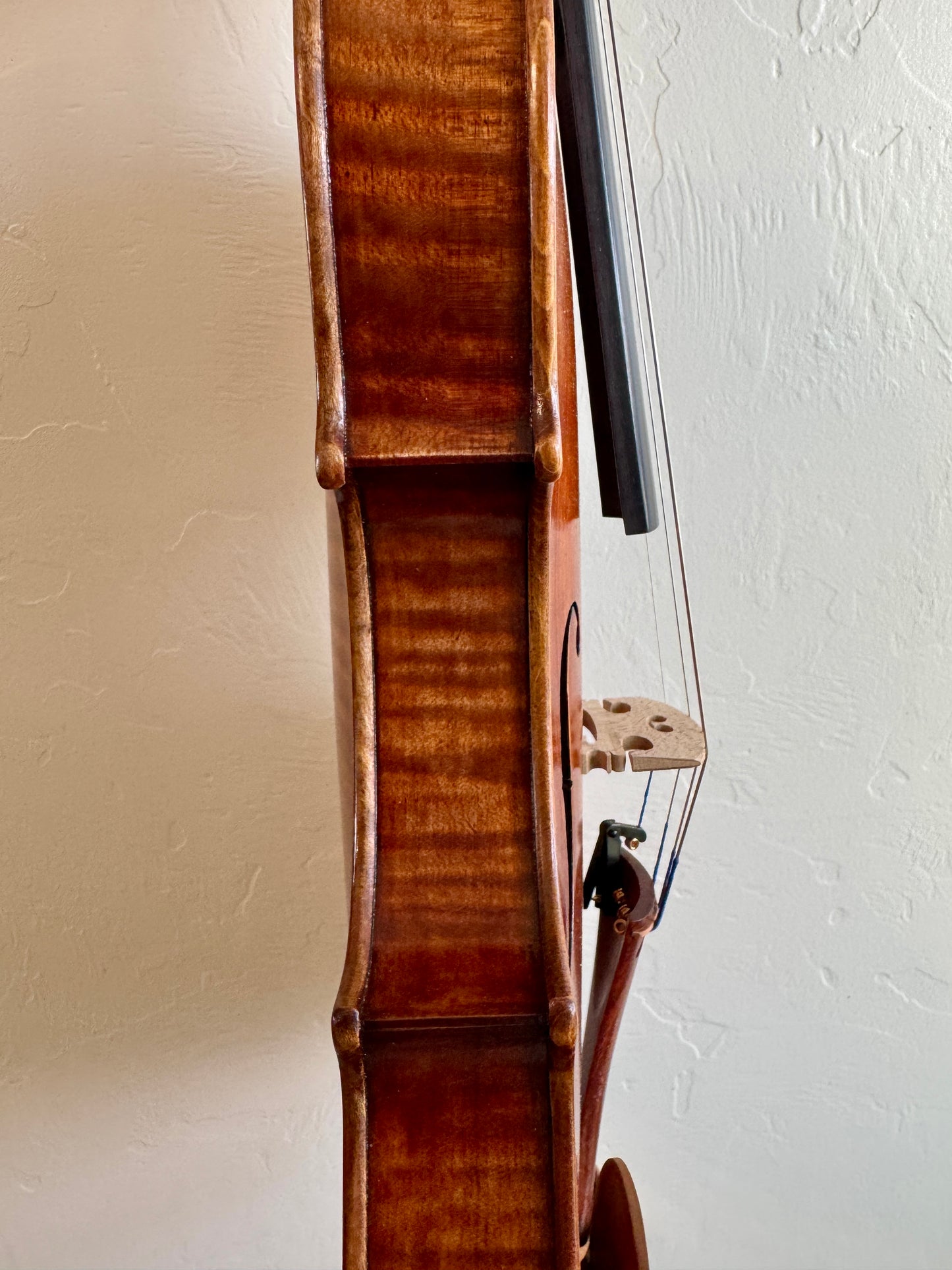 Signature Violin- 4/4