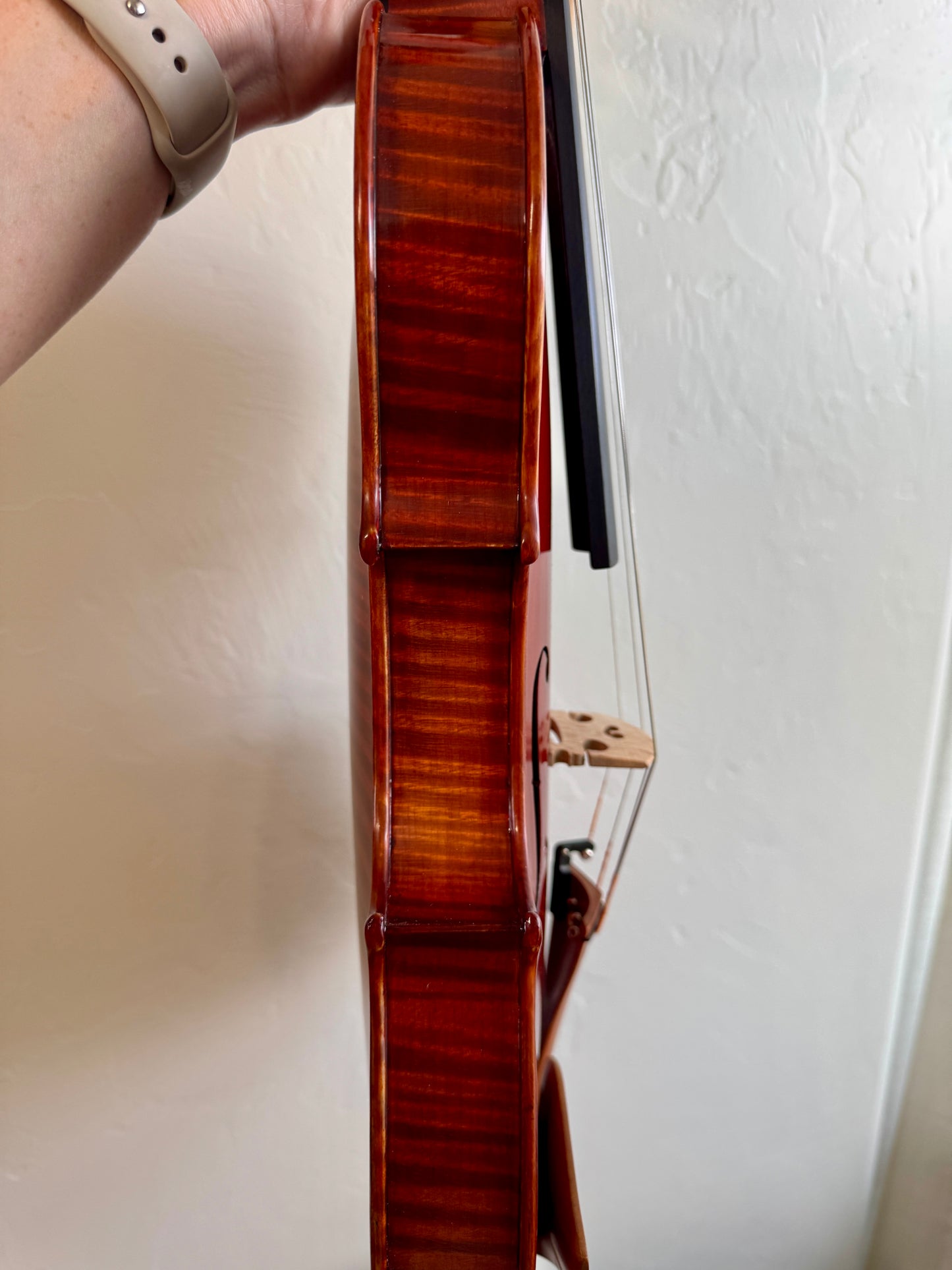 Cremona SV-1500 Maestro Master Violin Outfit – 4/4 Size