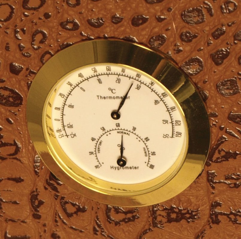 Stone Alligator Hide Guitar Case