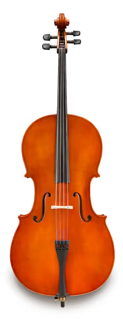 Eastman VC80 Cello Package