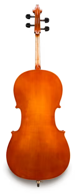 Eastman VC80 Cello Package