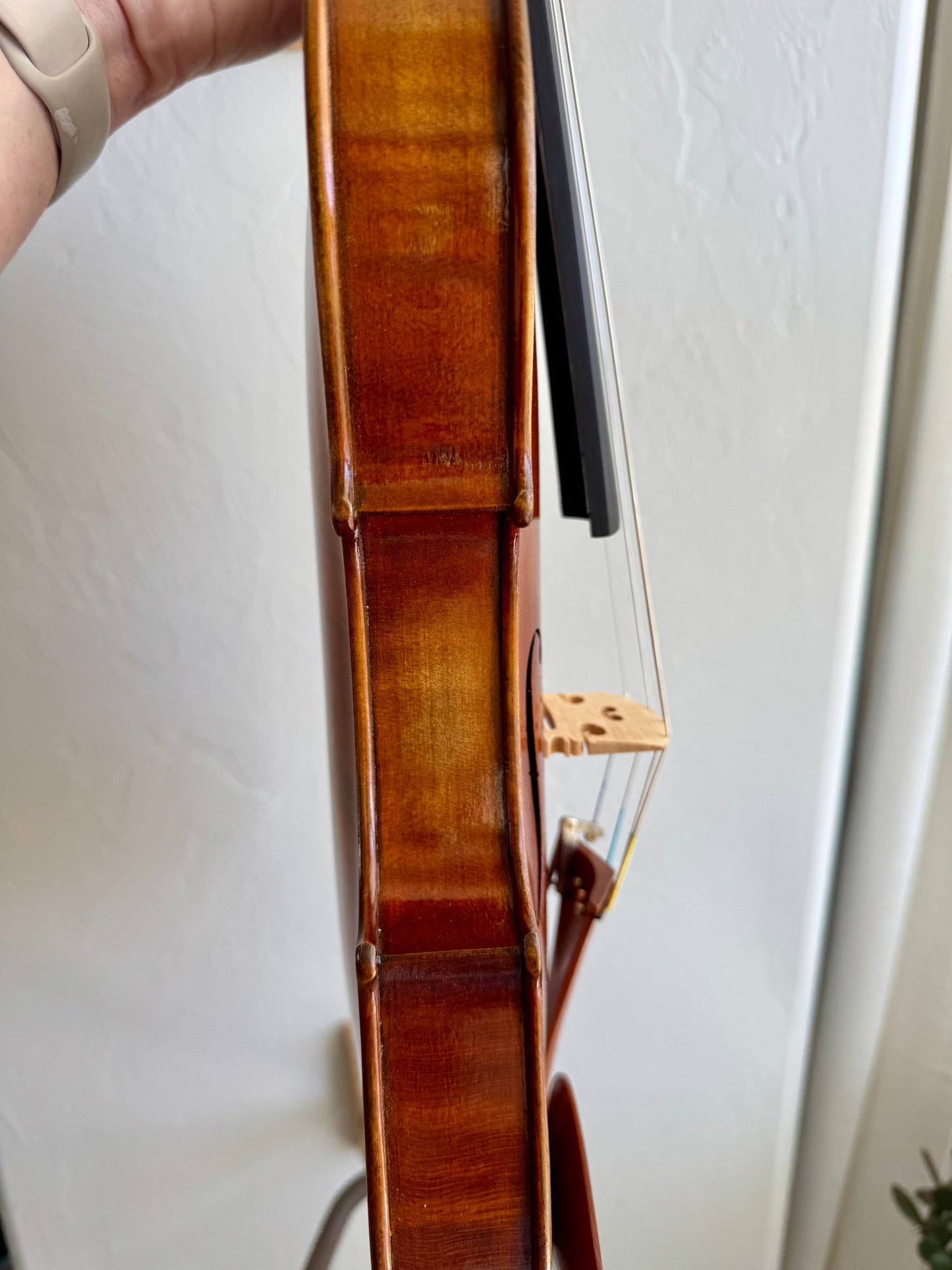 Violin - Cremona SV-800 Premier Artist Violin Outfit 4/4 Size