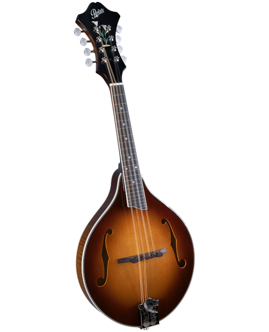 Rover Mandolin