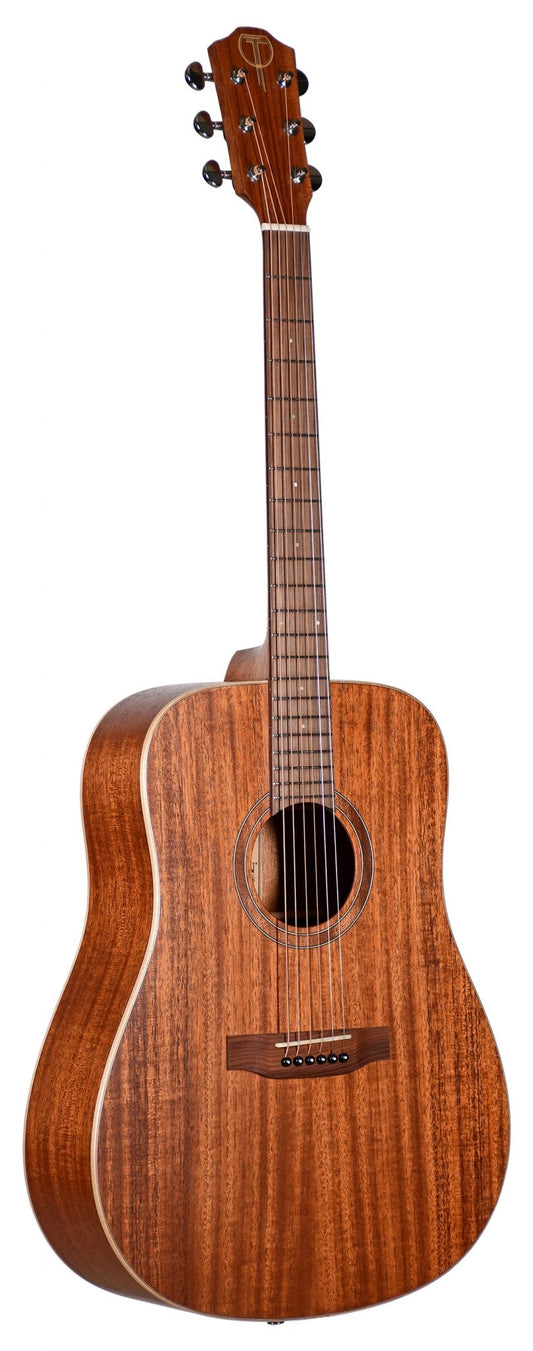 Teton Acoustic Guitar- STS103NT Dreadnought Body