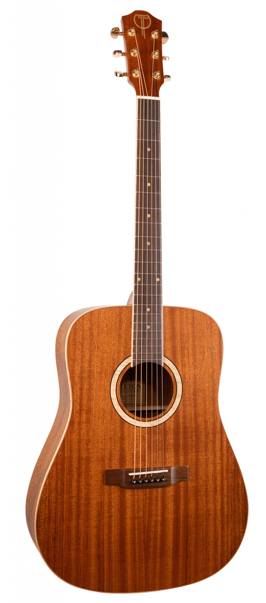 Teton Acoustic Guitar- STS203NT Dreadnought Body